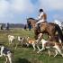 TVH Boxing Day Hunt